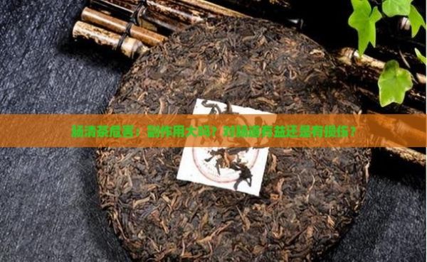腸清茶危害：副作用大嗎？對腸道有益還是有損傷？
