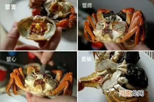螃蟹+柿子=中毒？ 吃螃蟹的禁忌早知道