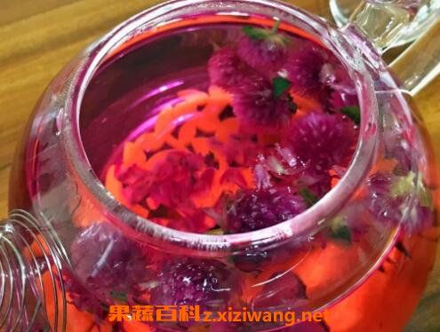 千日红花茶的功效与作用