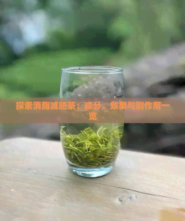 探索消脂减肥茶：成分、效果与副作用一览