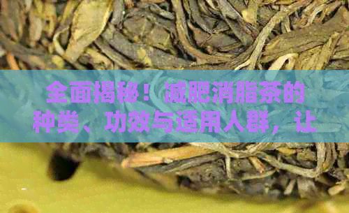 全面揭秘！减肥消脂茶的种类、功效与适用人群，让你轻松拥有理想体型