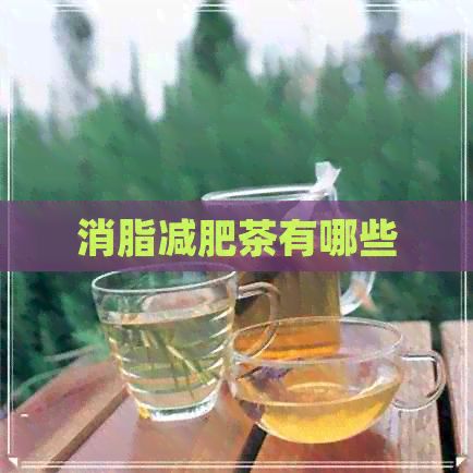 消脂减肥茶有哪些
