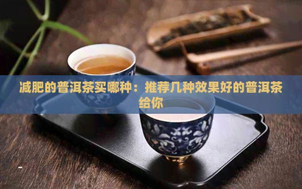 減肥的普洱茶買哪種：推薦幾種效果好的普洱茶給你