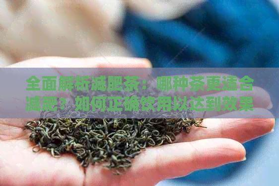 全面解析減肥茶：哪種茶更適合減肥？如何正確飲用以達(dá)到效果？