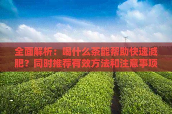 全面解析：喝什么茶能幫助快速減肥？同時(shí)推薦有效方法和注意事項(xiàng)