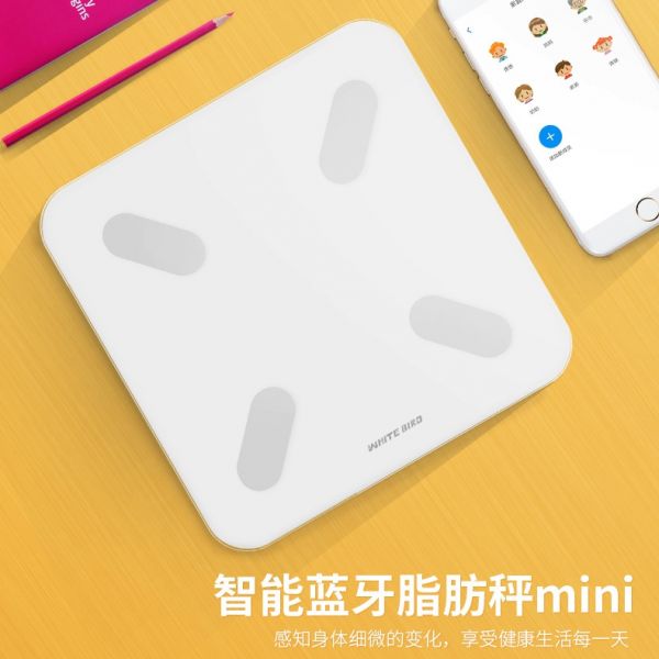 脂肪秤