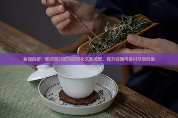 全面解析：哪些茶葉既能助消化又助減肥，提升健康與身材雙重效果