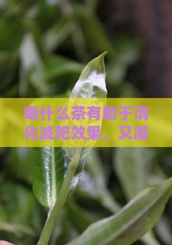 喝什么茶有助于消化減肥效果，又減肥促消化