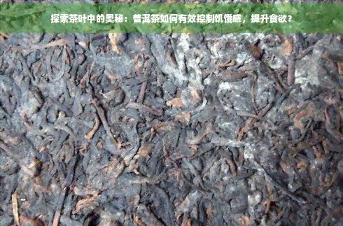 探索茶叶中的奥秘：普洱茶如何有效控制饥饿感，提升食欲？