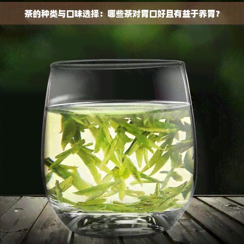 茶的種類與口味選擇：哪些茶對胃口好且有益于養(yǎng)胃？