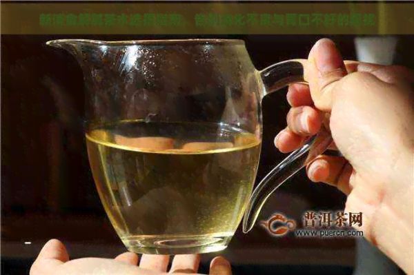 新消食解膩茶水選擇指南，告別消化不良與胃口不好的困擾