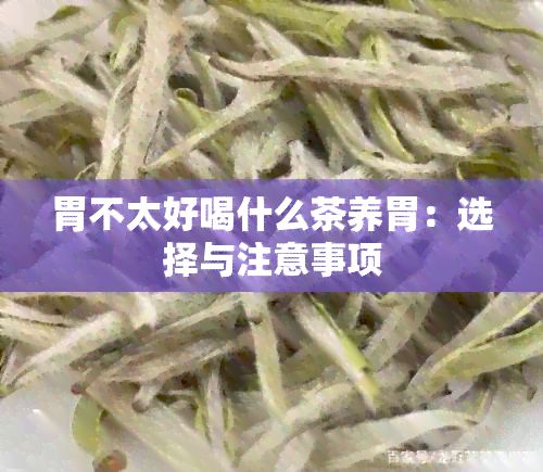 胃不太好喝什么茶養(yǎng)胃：選擇與注意事項