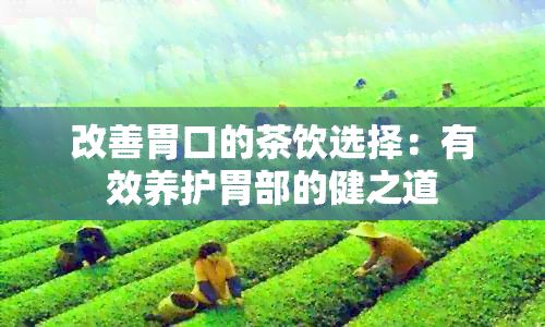 改善胃口的茶飲選擇：有效養(yǎng)護胃部的健之道