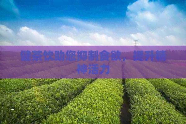 健茶飲助您抑制食欲，提升精神活力