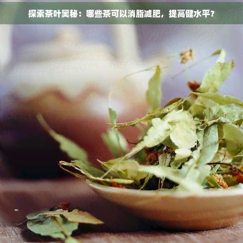 探索茶葉奧秘:哪些茶可以消脂減肥,提高健水平?