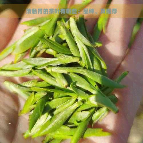 清腸胃的茶葉有哪些：品種、及推薦