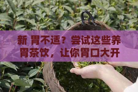 新 胃不適？嘗試這些養(yǎng)胃茶飲，讓你胃口大開！