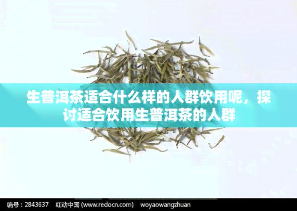生普洱茶適合什么樣的人群飲用呢，探討適合飲用生普洱茶的人群