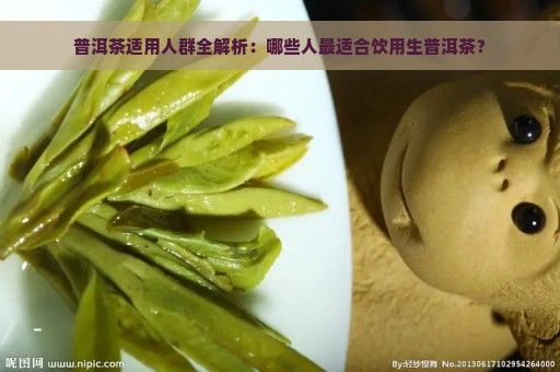 普洱茶适用人群全解析：哪些人最适合饮用生普洱茶？