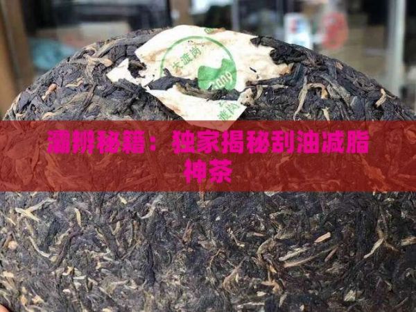 灞辨秘籍：獨(dú)家揭秘刮油減脂神茶