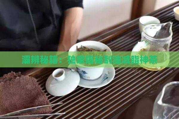 灞辨秘籍：獨(dú)家揭秘刮油減脂神茶