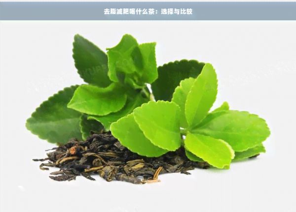 去脂減肥喝什么茶:選擇與比較