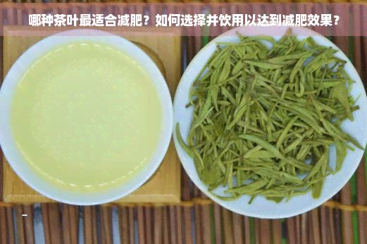 哪種茶葉最適合減肥？如何選擇并飲用以達(dá)到減肥效果？