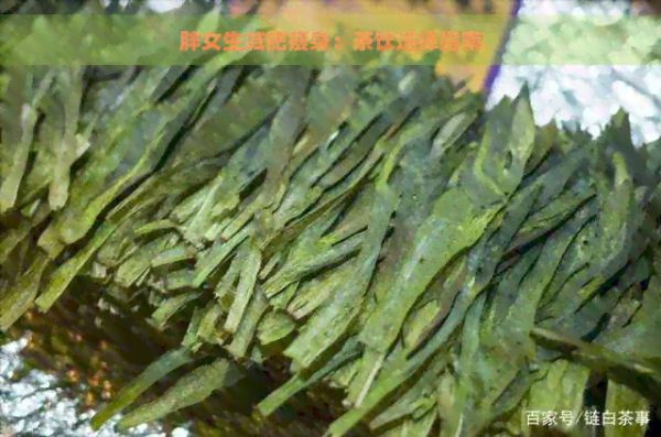 胖女生減肥瘦身：茶飲選擇指南