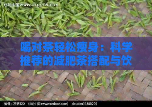 喝對(duì)茶輕松瘦身：科學(xué)推薦的減肥茶搭配與飲用方法，讓你快速減肥無(wú)負(fù)擔(dān)！