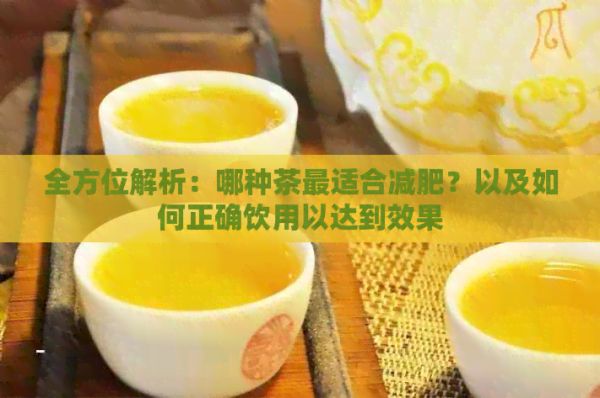 全方位解析：哪種茶最適合減肥？以及如何正確飲用以達(dá)到效果