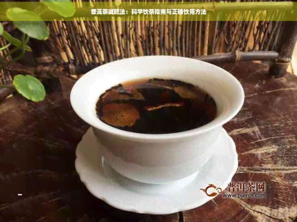 普洱茶減肥法：科學(xué)飲茶指南與正確飲用方法