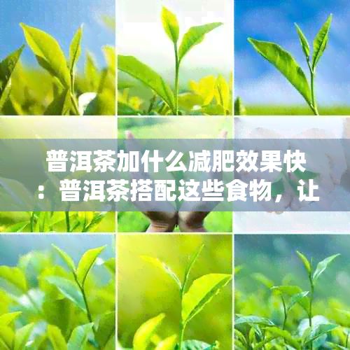 普洱茶加什么減肥效果快：普洱茶搭配這些食物，讓你快速瘦身！