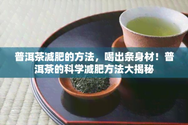 普洱茶减肥的方法，喝出条身材！普洱茶的科学减肥方法大揭秘