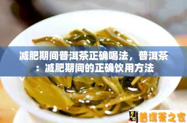 减肥期间普洱茶正确喝法，普洱茶：减肥期间的正确饮用方法