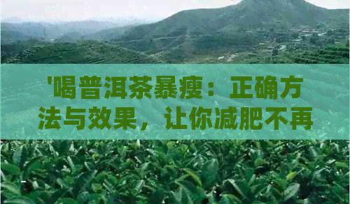'喝普洱茶暴瘦：正確方法與效果，讓你減肥不再困擾'