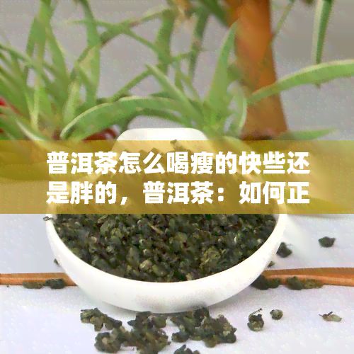 普洱茶怎么喝瘦的快些還是胖的，普洱茶：怎樣正確飲用以達(dá)到快速減肥效果？
