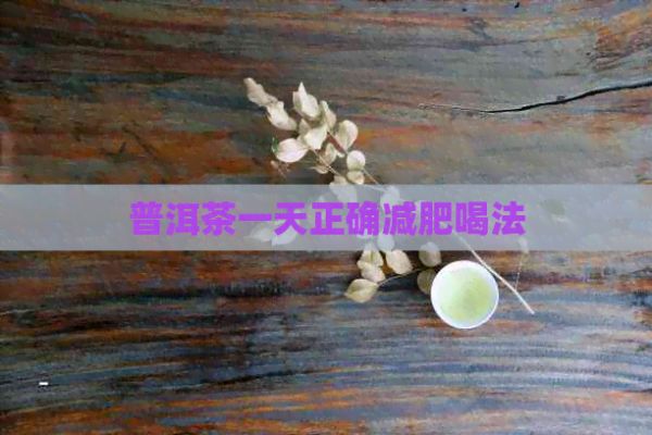 普洱茶一天正確減肥喝法