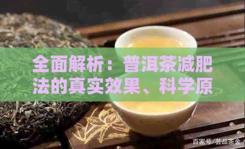 全面解析：普洱茶減肥法的真實(shí)效果、科學(xué)原理與適用人群