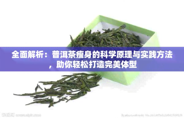 全面解析:普洱茶瘦身的科學(xué)原理與實(shí)踐方法,助你輕松打造完美體型