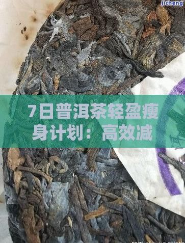 7日普洱茶輕盈瘦身計劃：高效減肥新策略