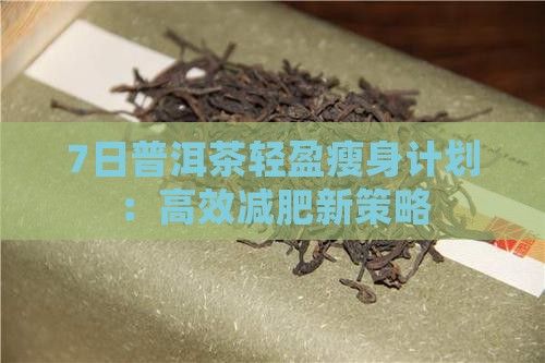 7日普洱茶輕盈瘦身計劃：高效減肥新策略