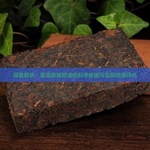 深度解析：普洱茶減肥法的科學(xué)依據(jù)與實際效果評估