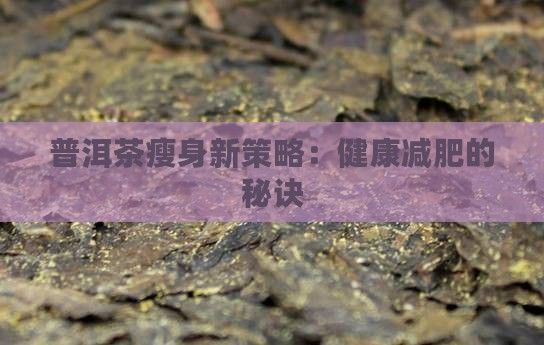普洱茶瘦身新策略：健康减肥的秘诀