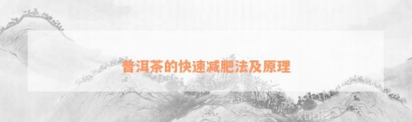普洱茶的快速減肥法及原理