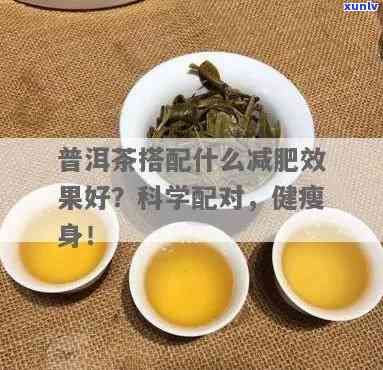普洱茶減肥法：科學(xué)搭配與飲用技巧，讓你輕松瘦身