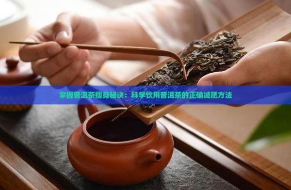 掌握普洱茶瘦身秘訣：科學(xué)飲用普洱茶的正確減肥方法
