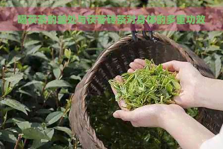 喝茯茶的益處與茯苓磚茶對身體的多重功效