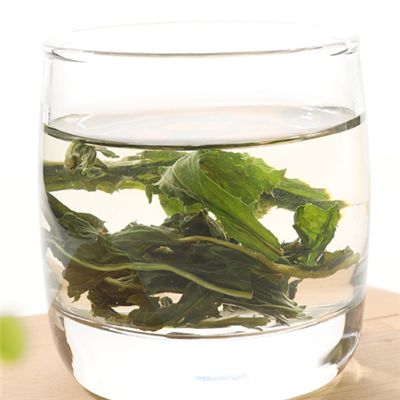 蒲公英茶的功效和作用 這些作用帶你重新認(rèn)識蒲公英茶