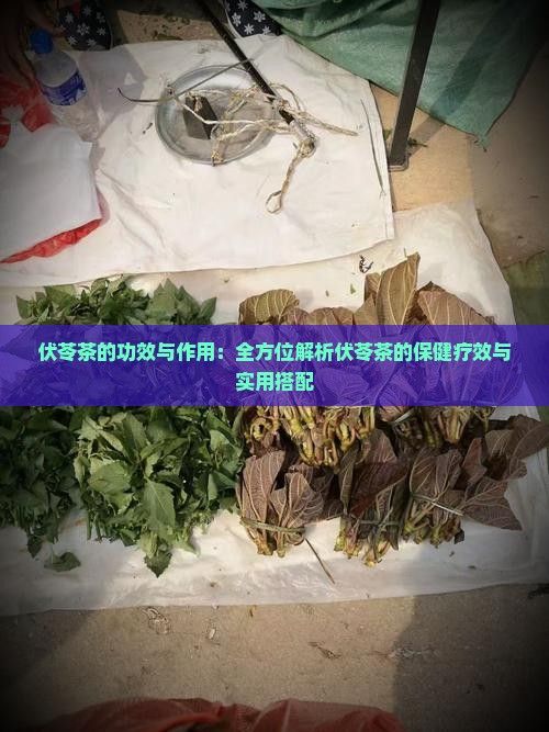 伏苓茶的功效與作用：全方位解析伏苓茶的保健療效與實(shí)用搭配