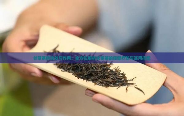 伏苓茶的功效與作用：全方位解析伏苓茶的保健療效與實(shí)用搭配